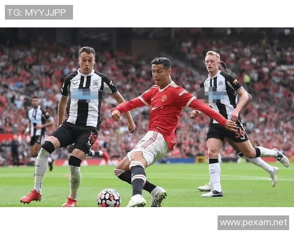 尼斯与南特实力对比分析谁能在比赛中占据上风